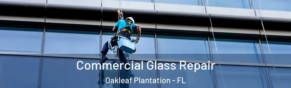  Commercial Glass Repair Oakleaf Plantation - FL