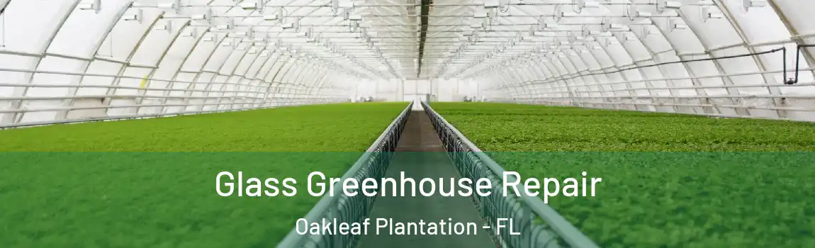  Glass Greenhouse Repair Oakleaf Plantation - FL