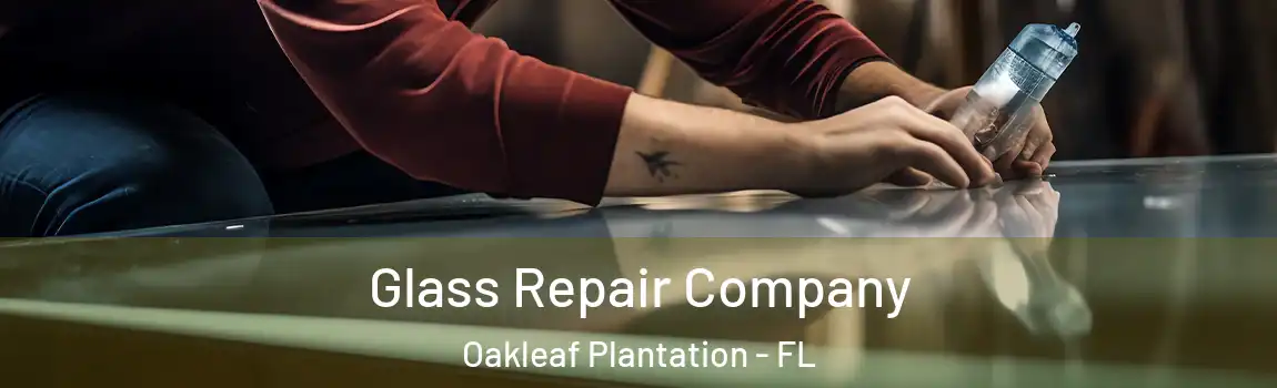  Glass Repair Company Oakleaf Plantation - FL