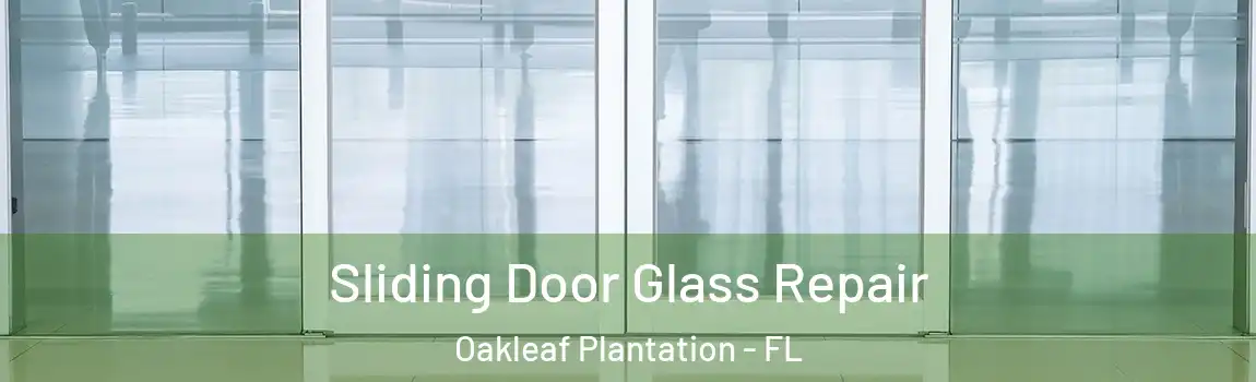  Sliding Door Glass Repair Oakleaf Plantation - FL